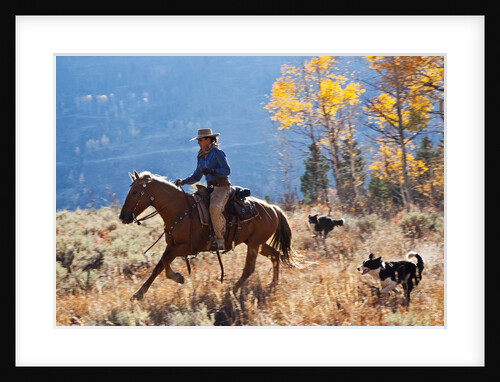 Cowgirl and her dogs by Anonymous