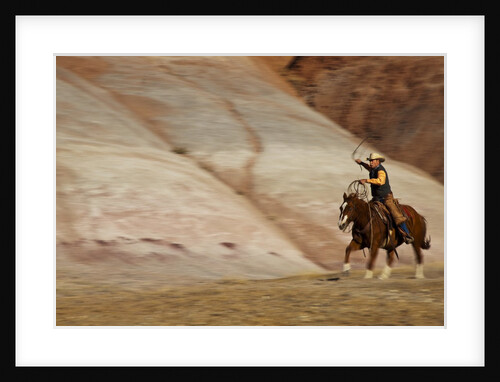 Cowboy in The Painted Hills by Anonymous