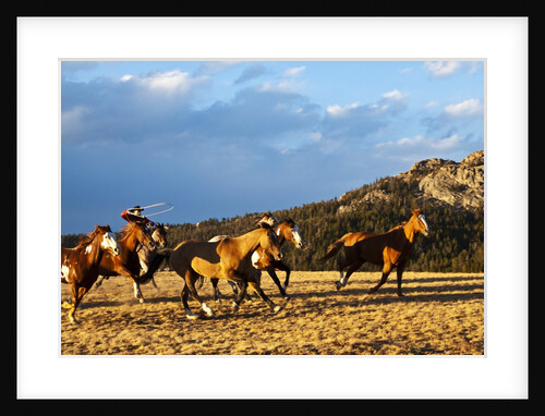 Cowboy herding horses by Anonymous