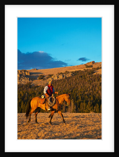 Cowboy riding the range by Anonymous