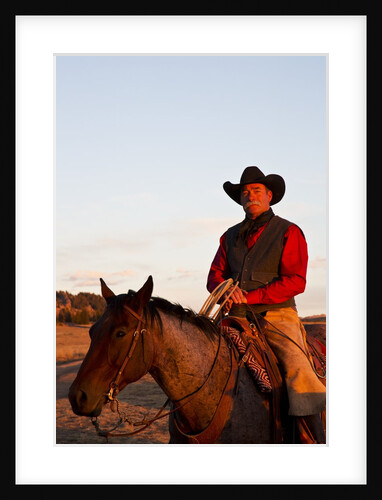 Cowboy in the sunshine by Anonymous