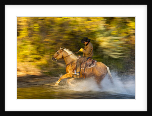 Cowboy riding through river on a horse by Anonymous