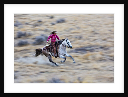 Cowgirl at Full Gallop Riding the Range by Anonymous