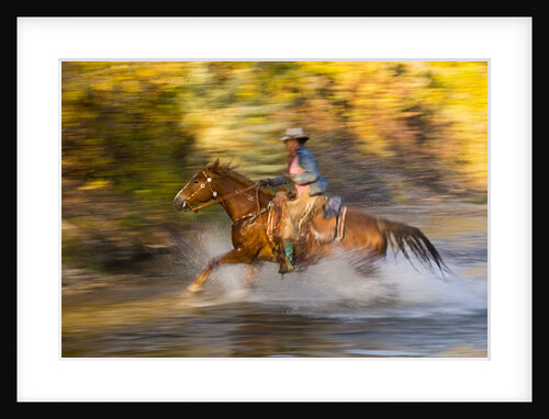 Cowgirl riding through river on a horse by Anonymous
