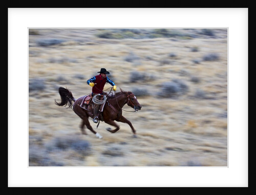 Cowboy riding the range by Anonymous