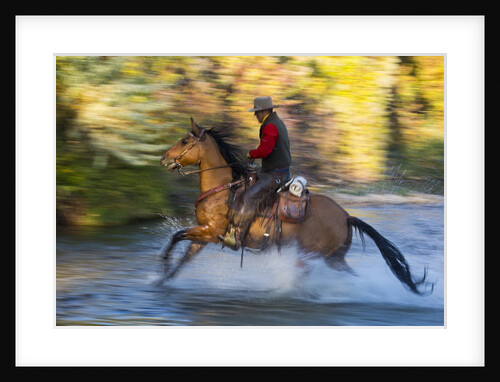 Cowboy riding through river on a horse by Anonymous