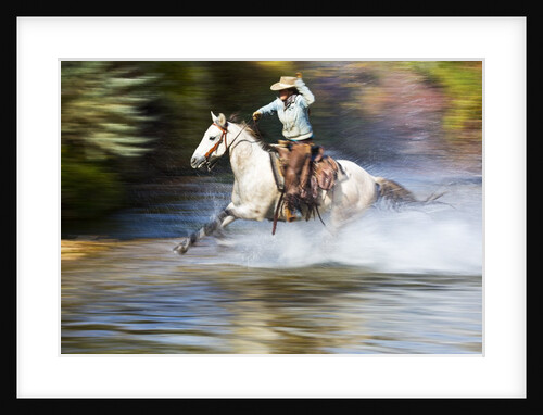 Cowgirl riding through river on horse by Anonymous