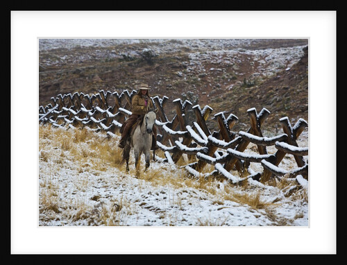 Cowgirl riding her horse by Anonymous