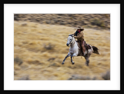 Cowgirl riding the range by Anonymous