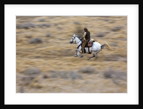 Cowboy riding the range by Anonymous