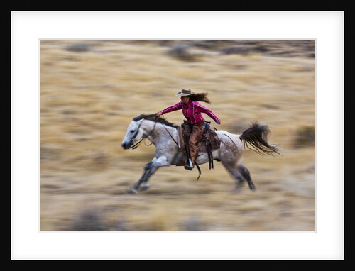 Cowgirl riding the range by Anonymous