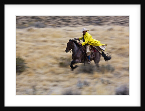 Cowboy riding the range by Anonymous