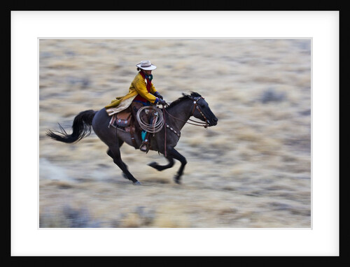 Cowgirl riding the range by Anonymous