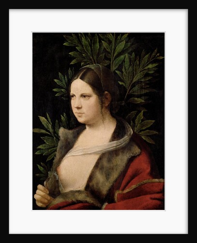 Young Woman (Laura) by Giorgione