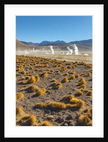 El Tatio geysers in Atacama Desert by Anonymous