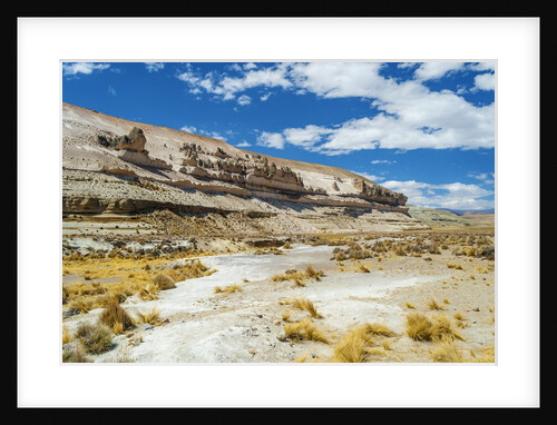 Reserva Nacional (Natural Reserve) Salinas y Aguada Blanca by Anonymous