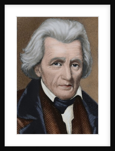Andrew Jackson (1767-1845). American statesman by Anonymous