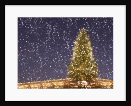 Christmas tree under snowfall by Anonymous