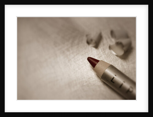 detail Point Freshly Sharpened Lip Liner Pencil by Anonymous