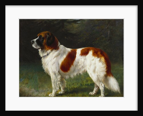 A St. Bernard on the Edge of a Wood by Heinrich Sperling