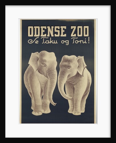 Odense Zoo poster by Anonymous