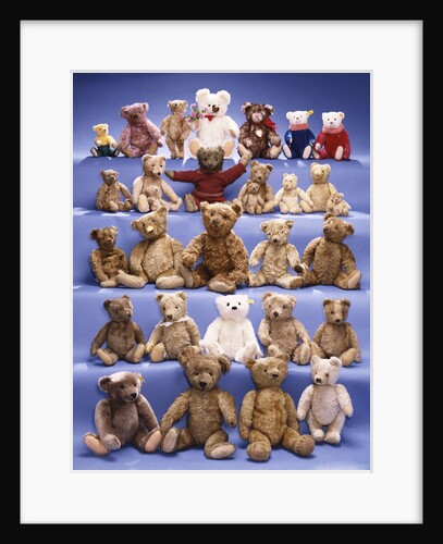 A collection of Steiff bears by Anonymous