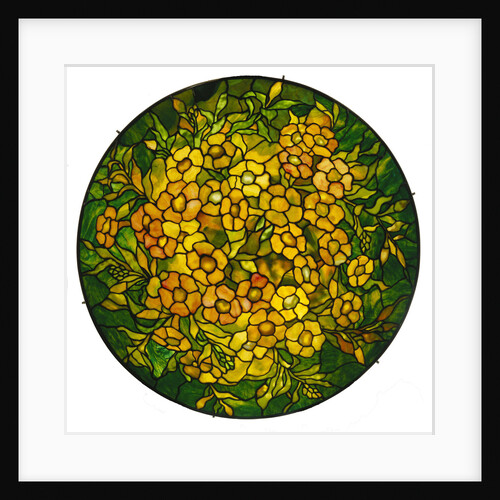 Tiffany Studios lighted shade of a fine alamander leaded glass and bronze vhandelier by Anonymous