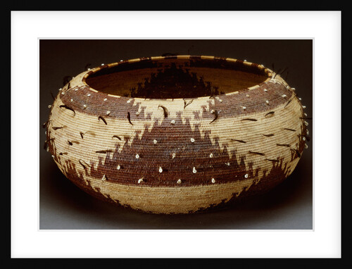 A fine and large Pomo gift basket of willow, redbud and sedge root with attached quail feathers and clam shells by Anonymous