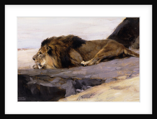 A Resting Lion by Wilhelm Kuhnert