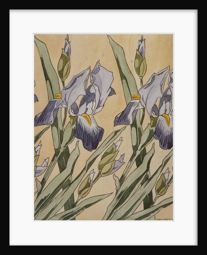 Iris by Kolomon Moser
