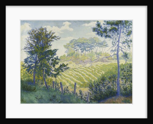 Vineyards Under the Pines by Paul Ranson