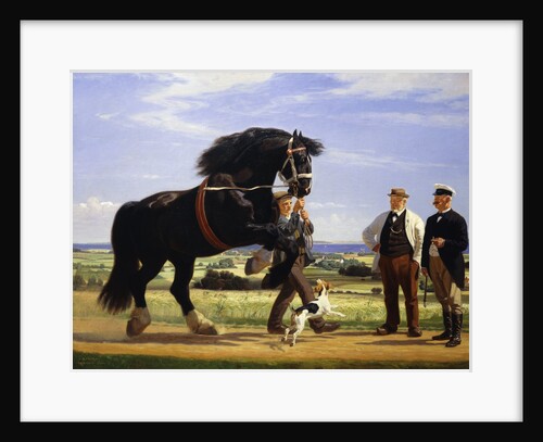 The Black Stallion by Rasmus Christiansen