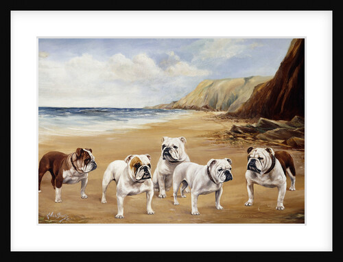 Bulldogs on a Beach by Reuben Ward Binks