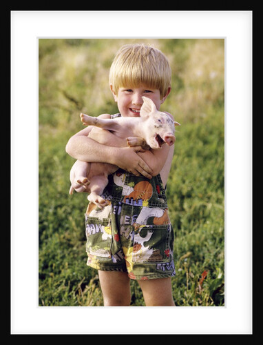 smiling Blond 4 Year Old Boy Holding Squealing Baby Pig by Anonymous