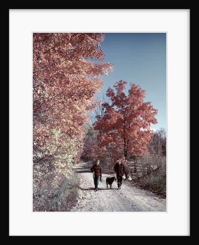 1950s 1960s Senior Couple Man Woman Walking Autumn Country Road by Anonymous