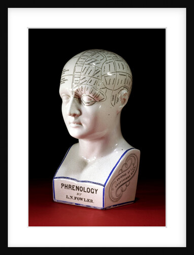 A porcelain phrenology head by L.N Fowler