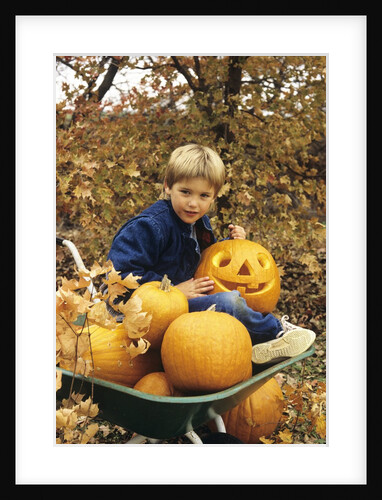 1980s Boy Setting In Wheel Barrow With Halloween Pumpkins Looking At Camera by Anonymous