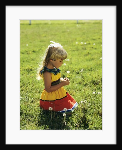 1980s Little Blond Girl Wearing Red And Yellow Sun Dress Kneeling On Grass Looking At Dandy Lion Flower Seed Head by Anonymous