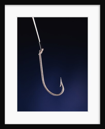 single Sharp Fishing Hook by Anonymous