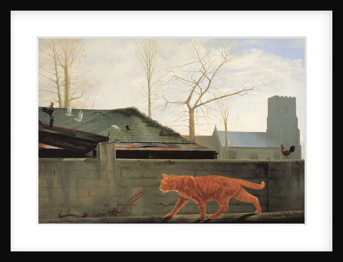 Orange Tabby cat stalking birds by Anonymous