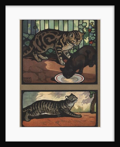 Cats by Edwin Noble