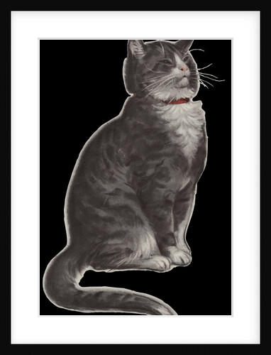 Dignified grey tabby cat by Anonymous