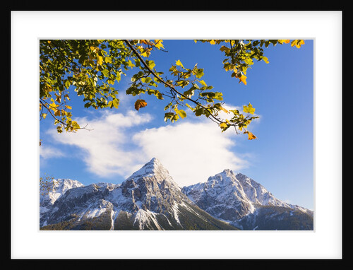 Mountain range in autumn by Anonymous