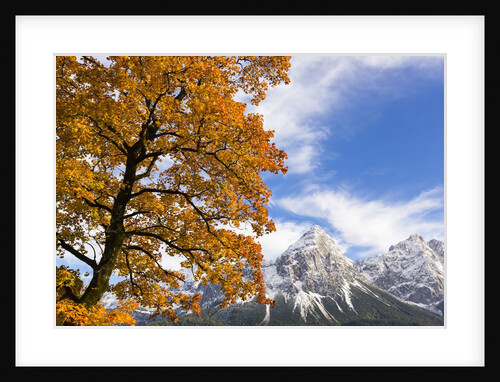 Mountain range in autumn by Anonymous