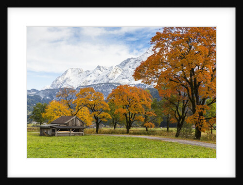 Autumn colors by mountain range by Anonymous