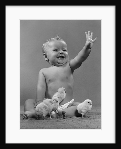 1950s Laughing Waving Baby Surrounded By Little Baby Chicks by Anonymous