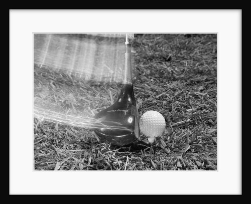1960s Moving Driver Golf Club Hitting Ball On Tee In Grass by Anonymous