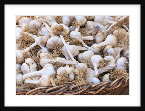 Garlic for sale by Anonymous