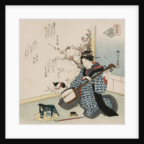 Te-ike no hana 'Hand-picked flower' by Yanagawa Shigenobu II
