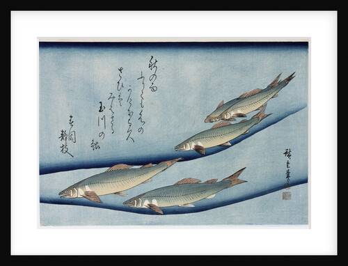 Rivertrout by Ando Hiroshige from the series 'Collection of Fish' by Ando Hiroshige